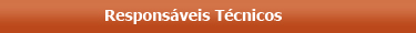 Responsáveis Técnicos Responsáveis Técnicos